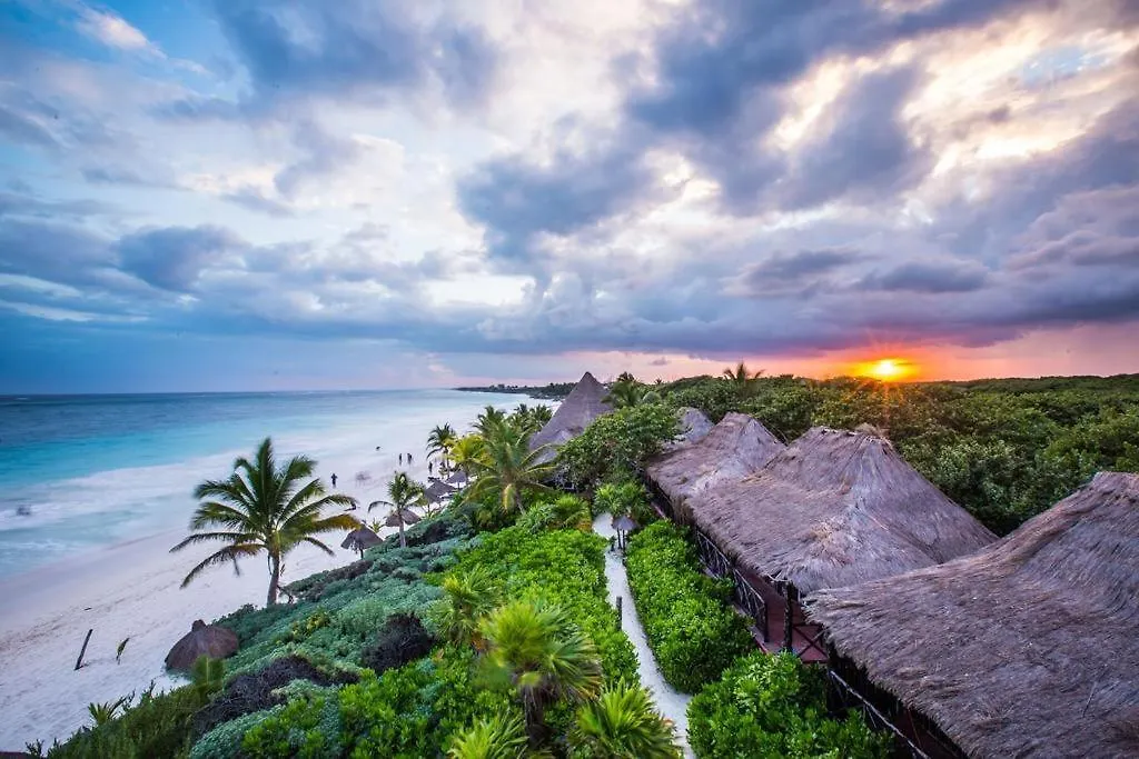 Modern Studio With Infinity Pool Aldea Zama Tulum Mexico